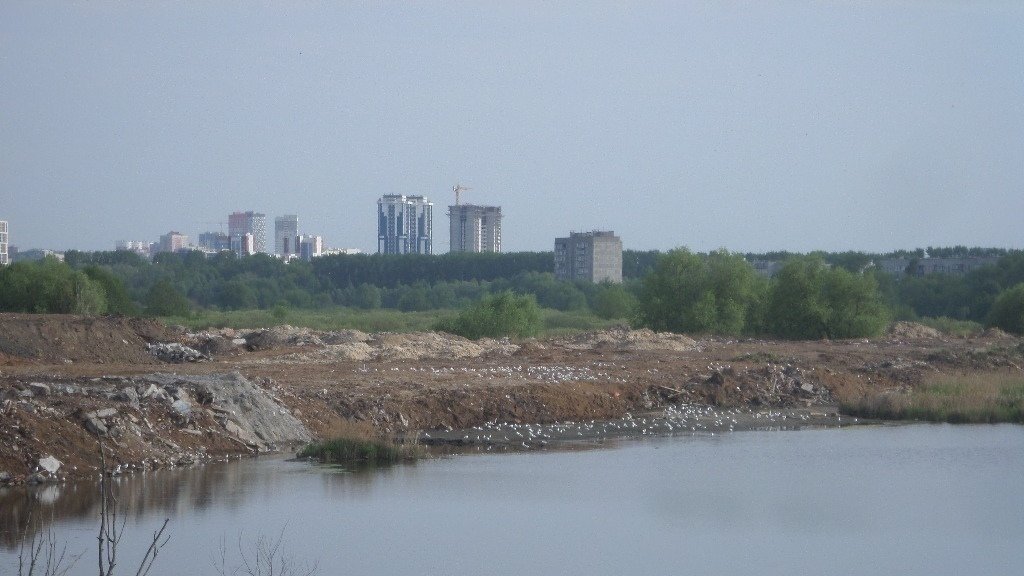 В Рязанской области начали исчезать водные объекты